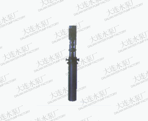 立式桶袋（dài）泵